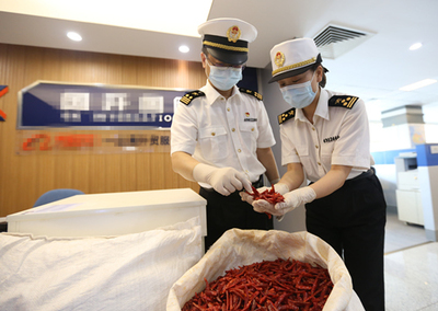 中非經貿博覽會 合作成果豐碩，攜手共譜發展新篇